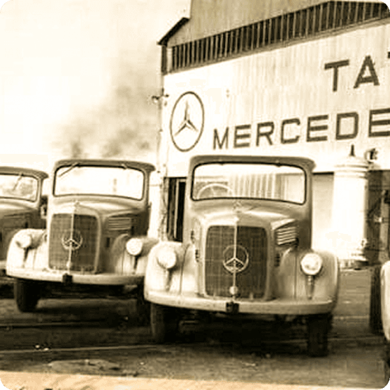 Timeline 1954