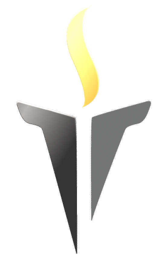 VST Logo Animation